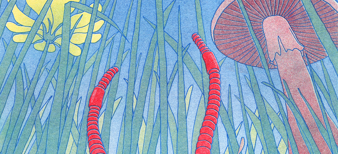 Thème : Y’a une bête !