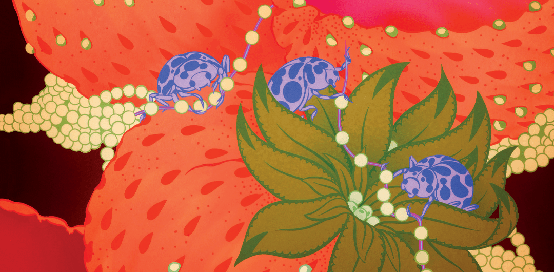 Les Gens du Mag : Alice Saey